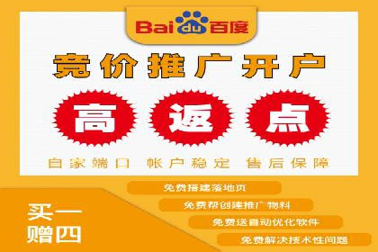 精准投放，sem竞价代运营的五大成功投放案例